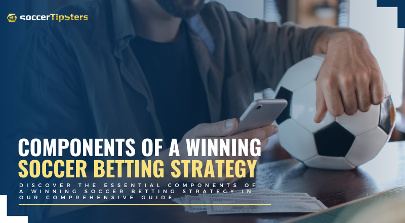 Components Of A Winning Soccer Betting Strategy
