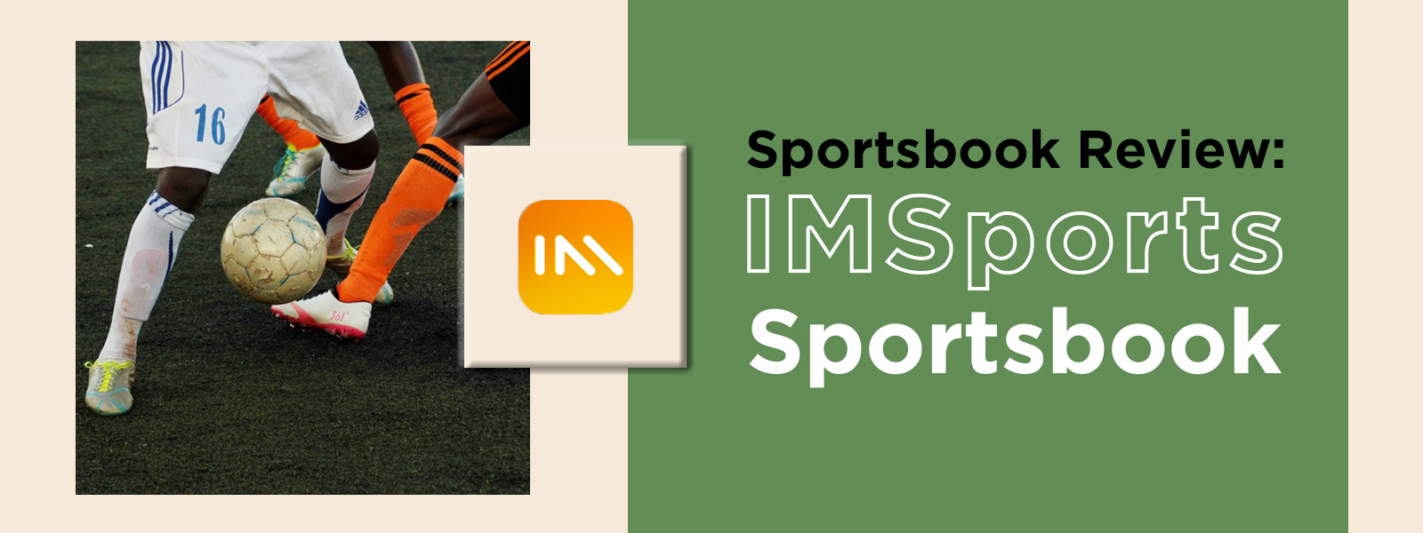 Sportsbook Review: IMSports Sportsbook